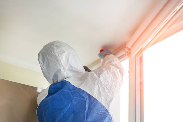 Best Commercial Mold Inspection  in Riverview, DE